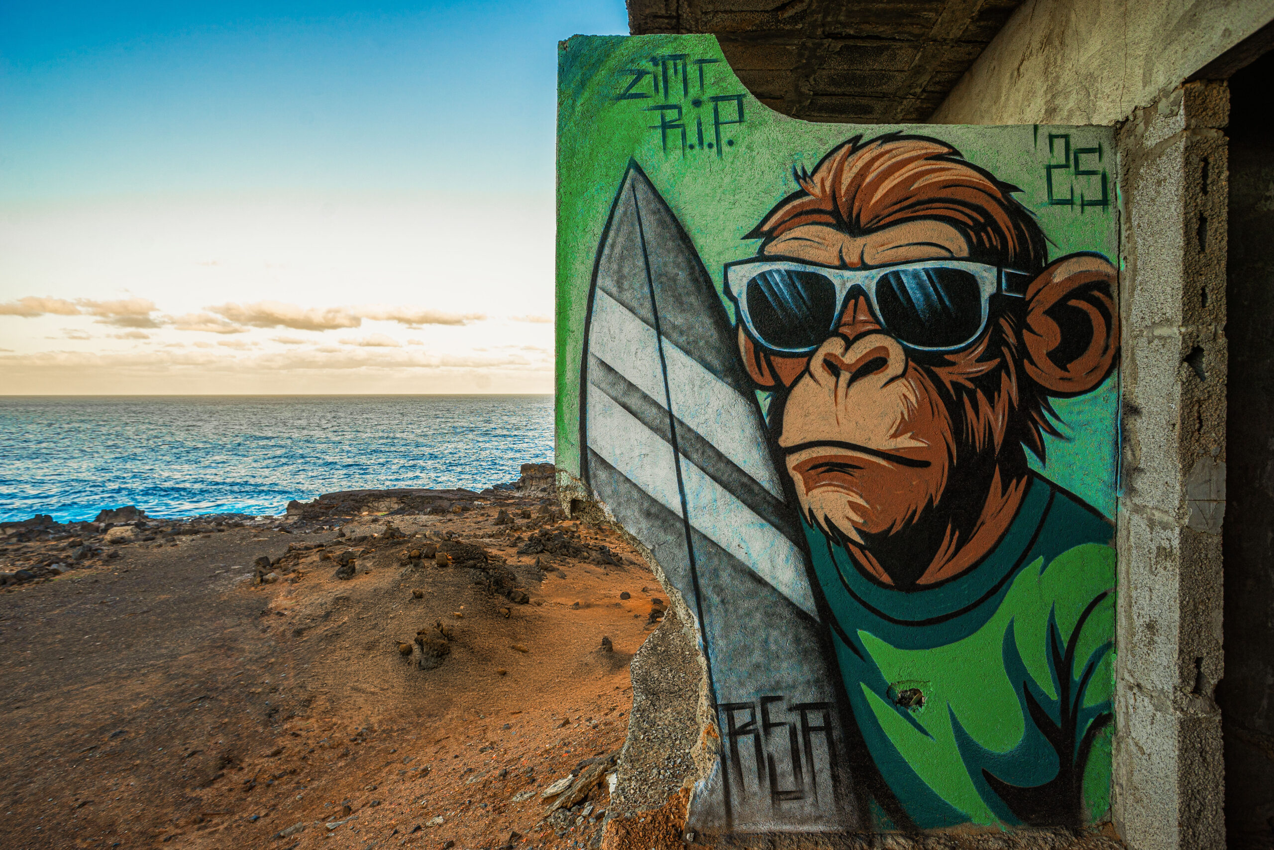 surfing ape - picture